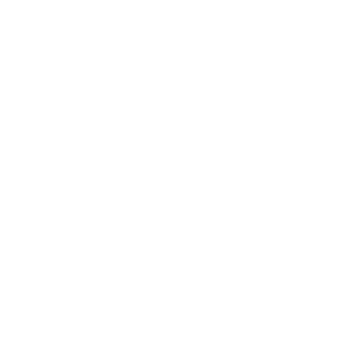 Alt Icon